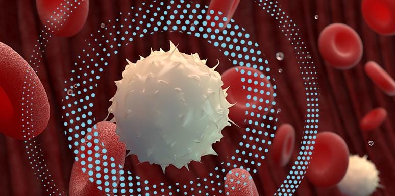 Blood Cells illustration